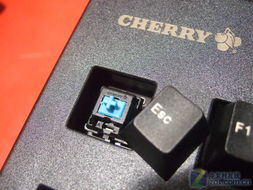 关于键盘轴的问题 黑轴、白轴、青轴、红轴、茶轴的