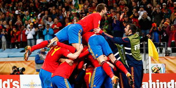 2010年世界杯冠军