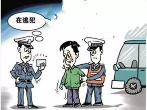 什么是法律制裁