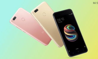 苹果几月上市新手机