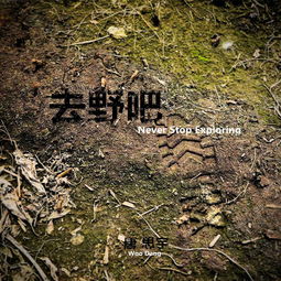 去野吧 歌词,去野吧 app