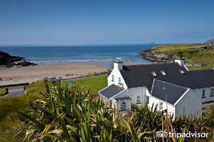 cove的翻译是：什么意思