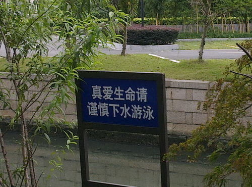 错别字的广告牌图片,识别错别字