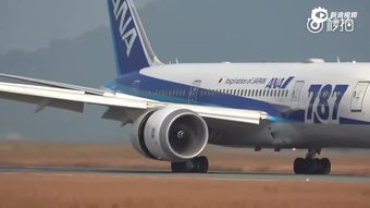 大飞机,男生说的大飞机是什么意思