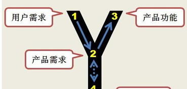 软件的需求分析怎么写啊？