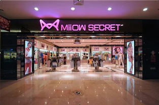 请问在武汉的猫人国际（香港）股份有限公司怎么样