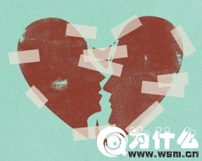 玻璃心是什么意思网络用语,女生说玻璃心是什么意思