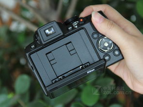 专业显卡NVIDIA P500是什么级别