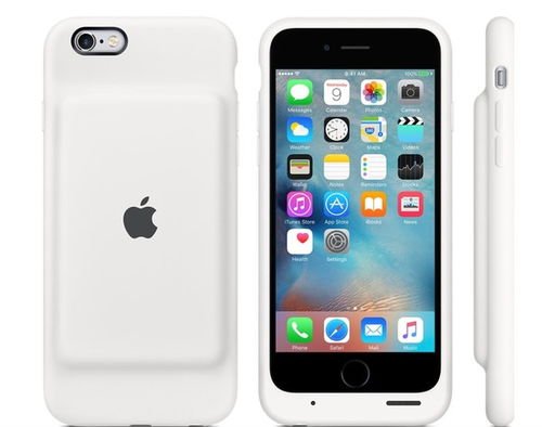 您好，您知道苹果手机有那些配件组成吗？