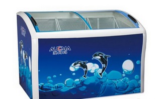 什么牌子的冰柜好？性价比高？