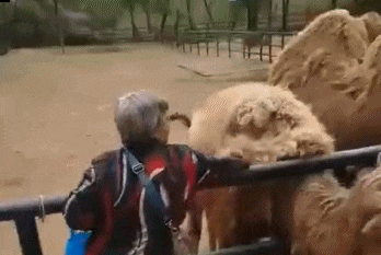 薅羊毛是什么意思？详尽解释网络用语薅羊毛的优点