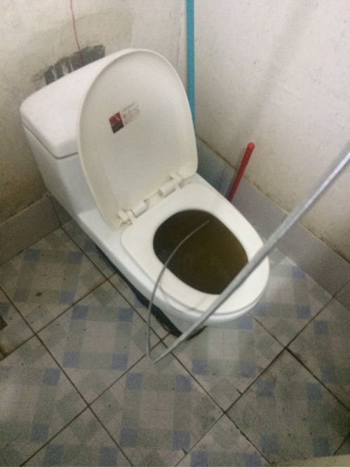 马桶堵住了不下水了怎么办