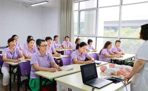 培训月嫂费用标准