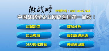 有没有微策略软件这家公司？他们是做什么软件的？