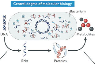 我想知道相关性是什么意思呢？