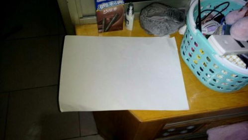 8开纸多大尺寸大小？