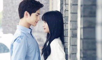 微微一笑很倾城大结局