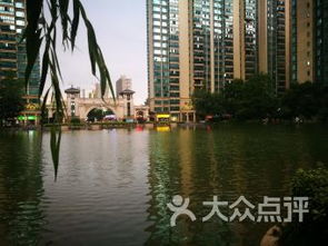 聚海清债是一家什么样的公司？