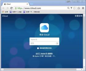 iphone已停用是什么意思啊? 要怎么解决啊？急急急
