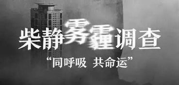 柴静的【穹顶之下】完整版！！！！！！