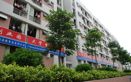 大学生创业园是干什么的？