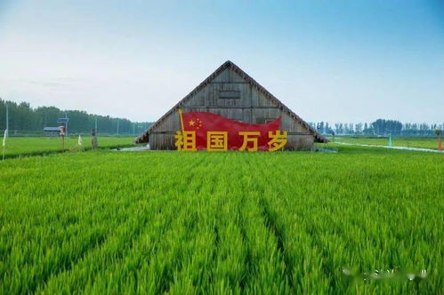 一亩三分地什么意思?