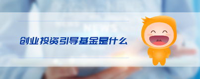 创业投资引导基金是什么？