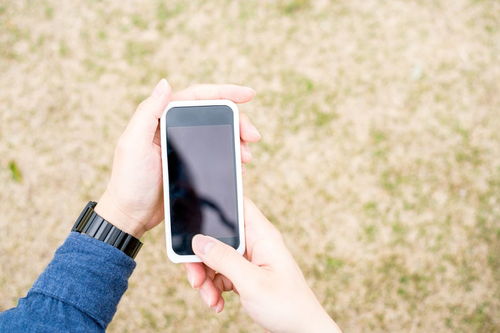 适合女生的手机有哪些,推荐一下?,适合女生的手机铃声中文歌曲