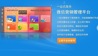 沈阳有哪些微信营销的成功案例？