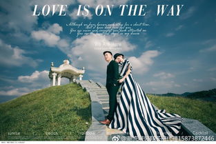 自由的图片唯美