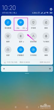 苹果手机网络连接正常但无法上网