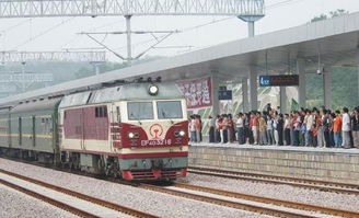 火车宠物托运需要多少钱