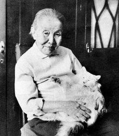 冰心原名是什么？