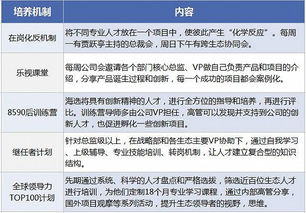 人才培养体系搭建,人才管理和人才培养