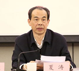 夏涛的人物履历