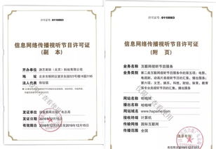 视听许可证的申请条件