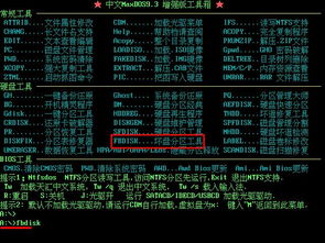 坏盘修复程序fbdisk,