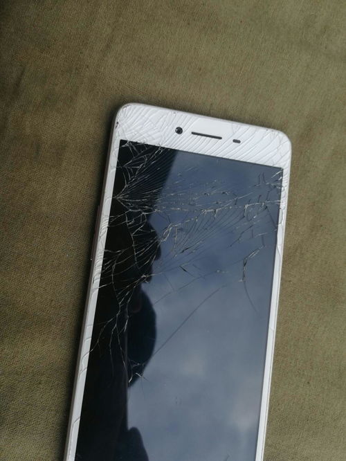 手机碎屏险在哪里买