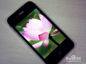 手机触摸屏完全失灵了，一般是什么原因导致的？