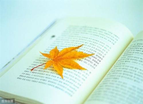 你懂我的欲言又止下句是什么