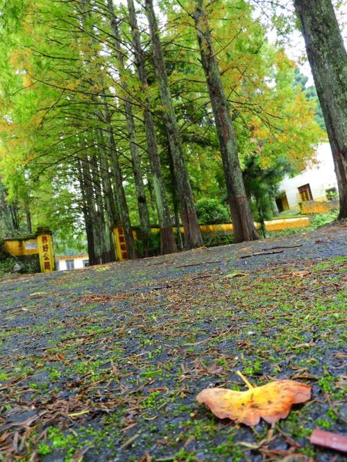 现在什么季节2022