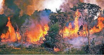 巴西火灾和澳大利亚火灾