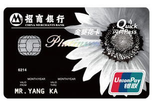 什么是金葵花？有什么用处？