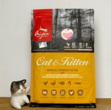 普通猫粮的价格一般多少