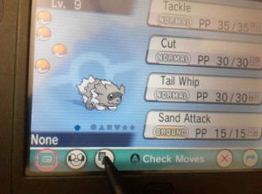 口袋妖怪的性格