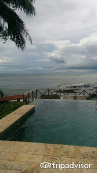 catalina系统,catalina mac