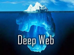 网络世界会怎样