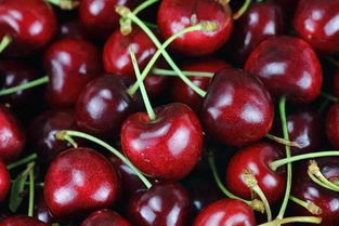 除了奶茶自由 香椿自由 车厘子自由 还有什么自由你