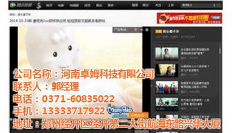 请问“电视贴片广告”和“网络视频贴片广告”的英文单