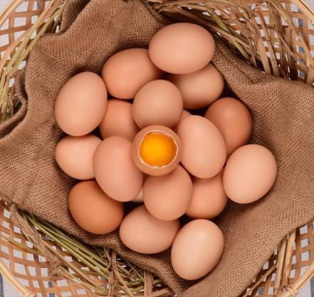 鸡蛋哥绘本故事内容是什么？